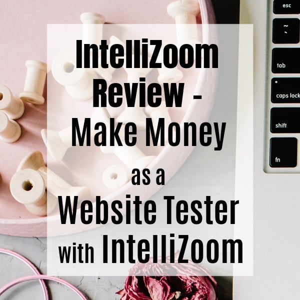 intellizoom review